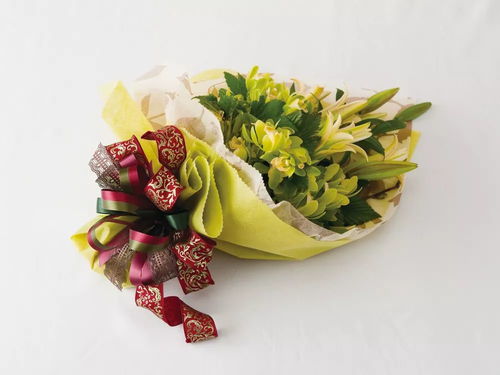 《爱上礼品鲜花 包装秘笈与销售之道》——开启趣味园艺的商业芬芳之旅