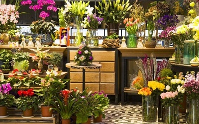 繁花似锦，商机绽放 花卉店与礼品花卉加盟全攻略